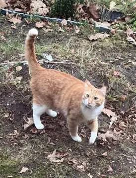 Lenny
