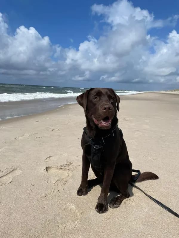BERTA
