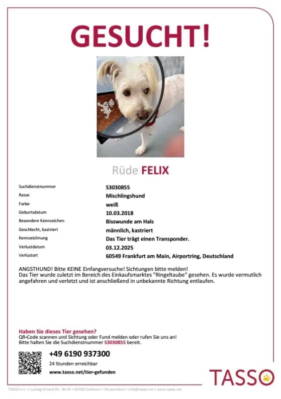 Felix
