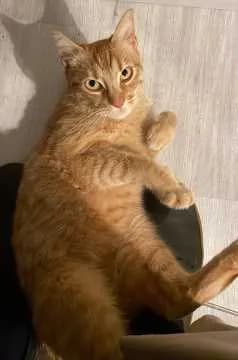 Oskar