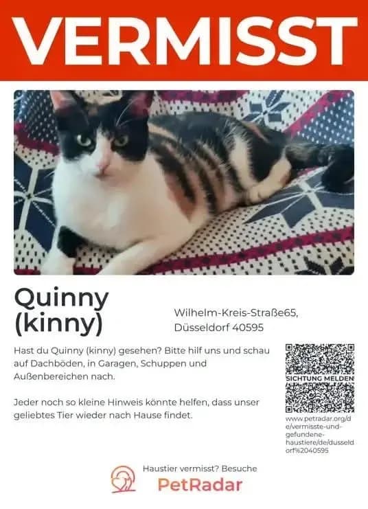 Quinny kinny