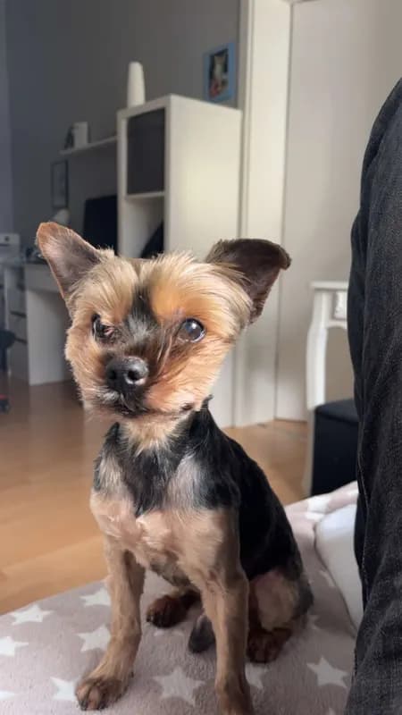 Diego