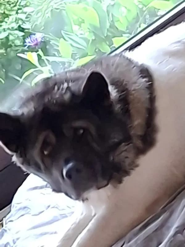 Sam