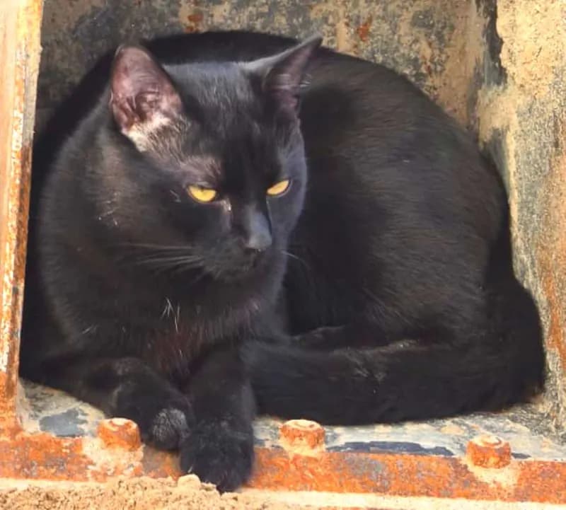 Mali