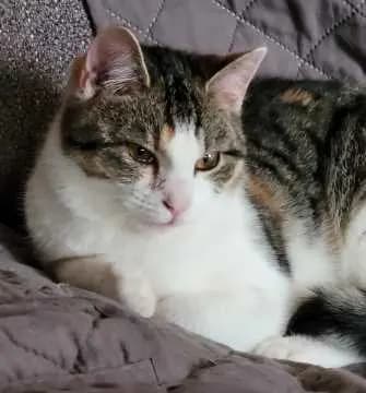 Kiki