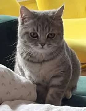 Mumu
