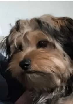 Ben