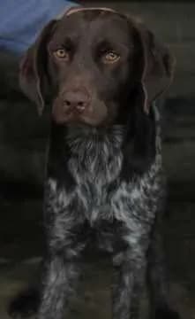Oskar