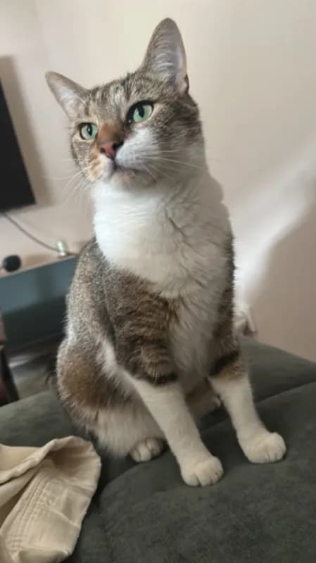 Morty