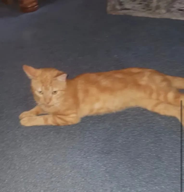 Pablo