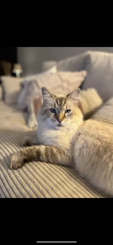 Leo