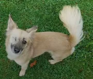 Kika