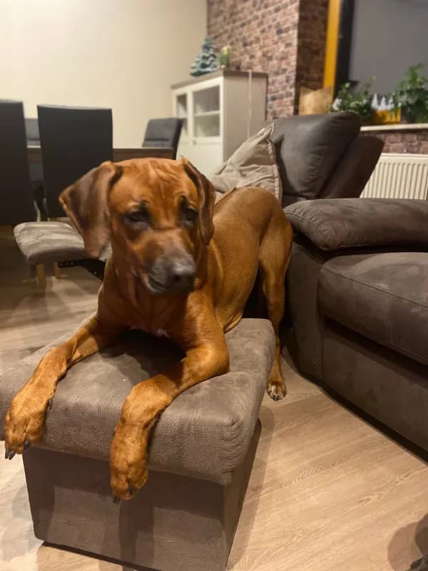 Emma