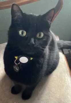 Frida