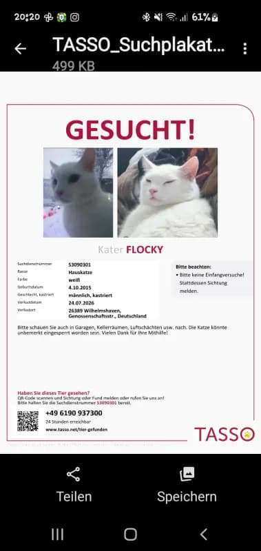 Flocky