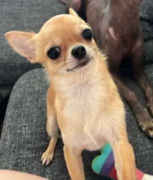 Chloe