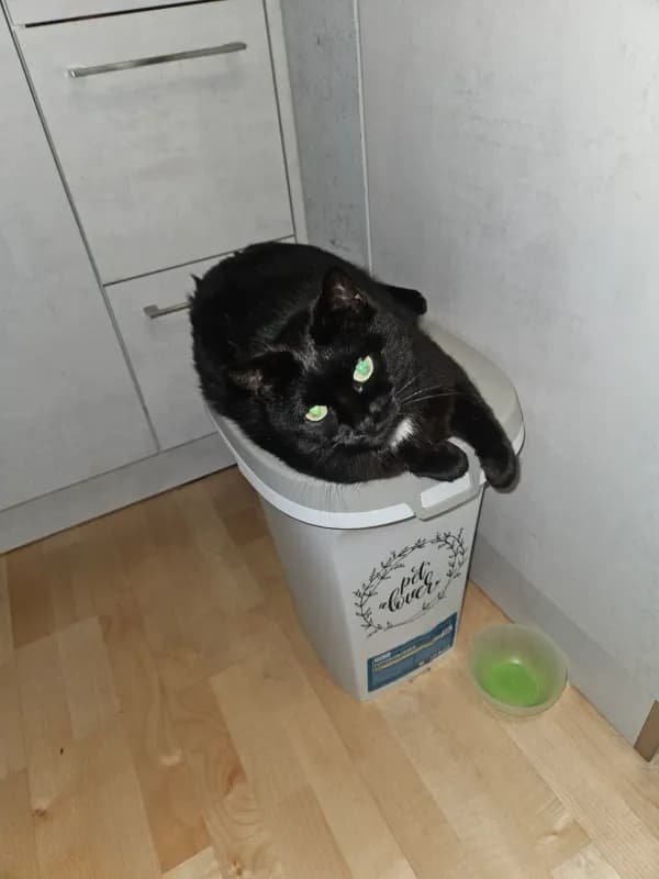 Lilli/Klößchen
