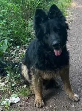 Rex