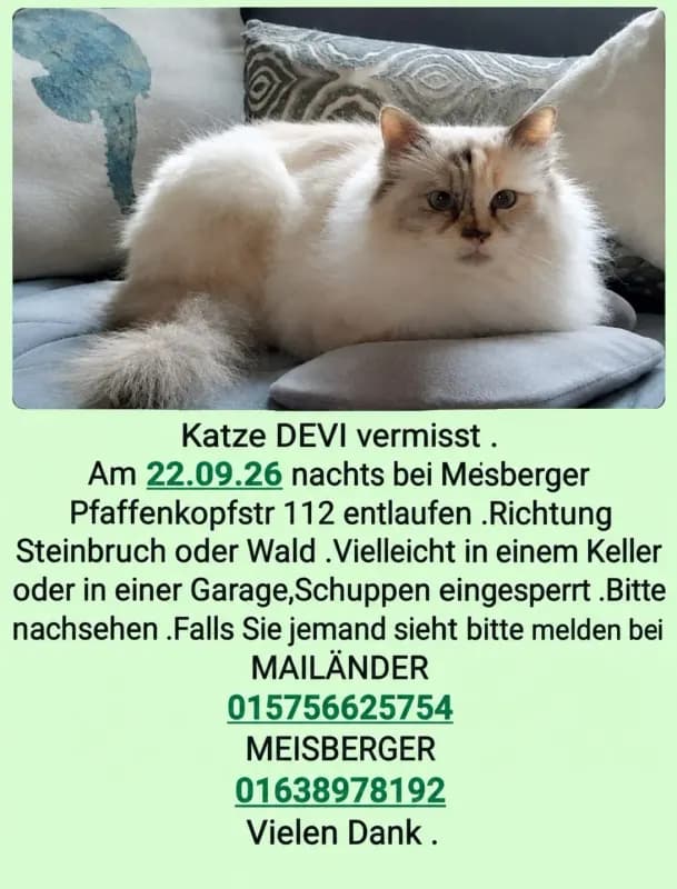 Devi,Heilige Birma