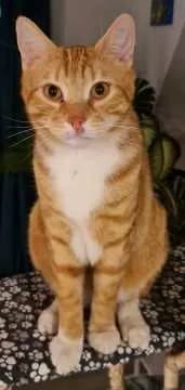 Fred