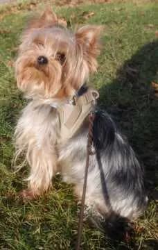 Leeloo