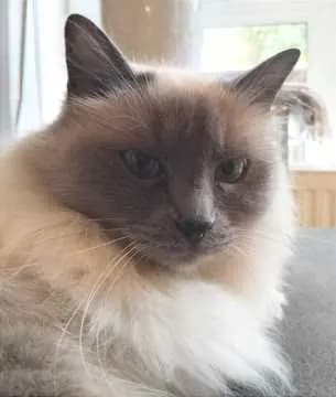 Mia