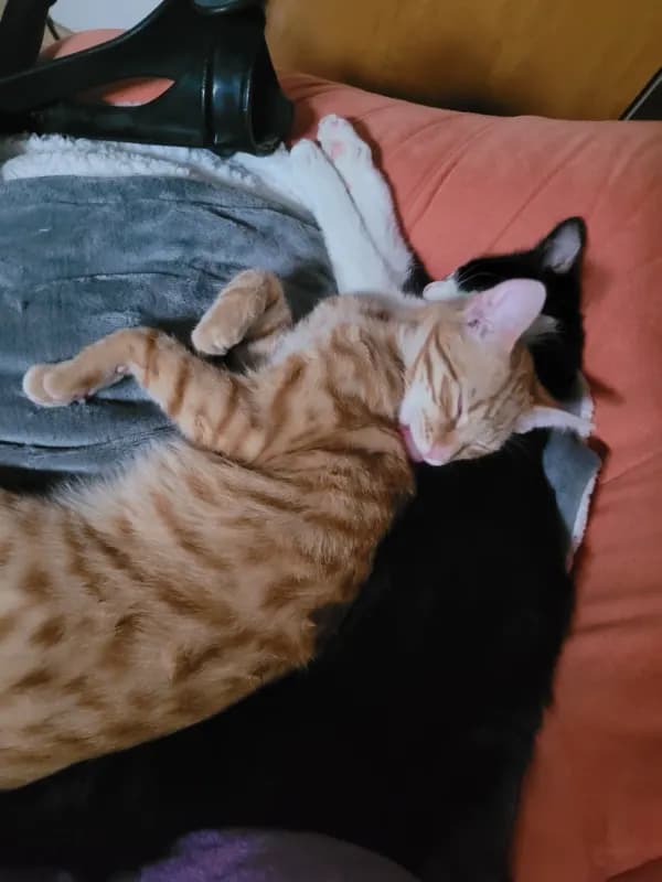 Max