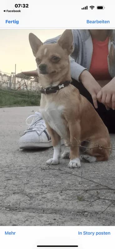 Eddy