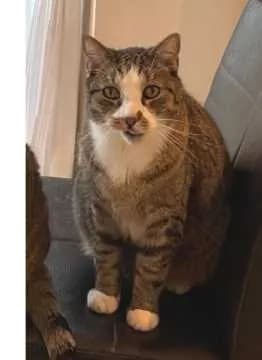 Felix