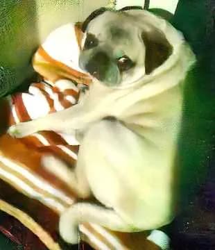 Frieda