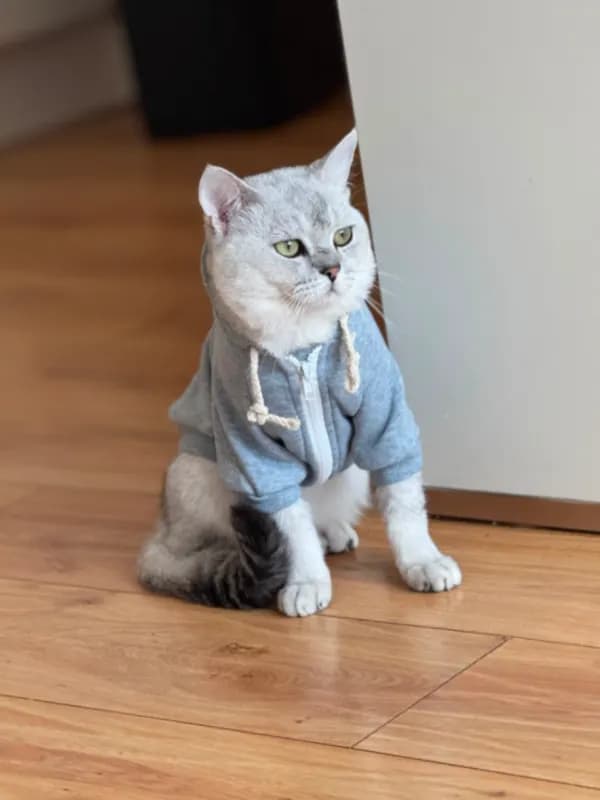 Boncuk
