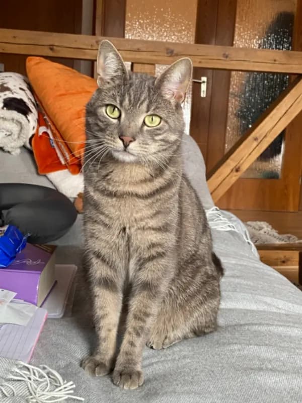 Bilbo