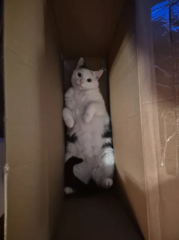 Walter