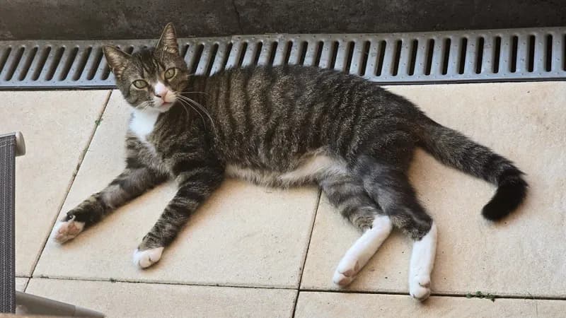 Kasimir