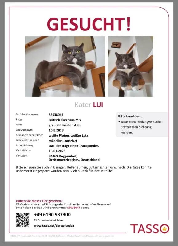 Lui