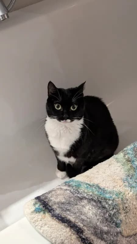 Amy