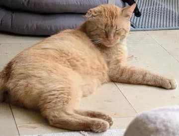 Tom