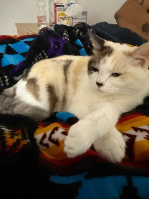 Fiona
