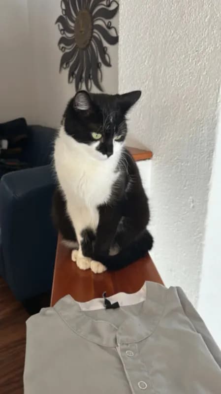 Kikky