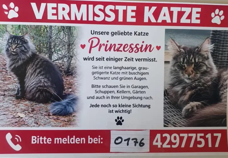 Prinzessin