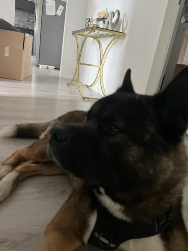 Tyson