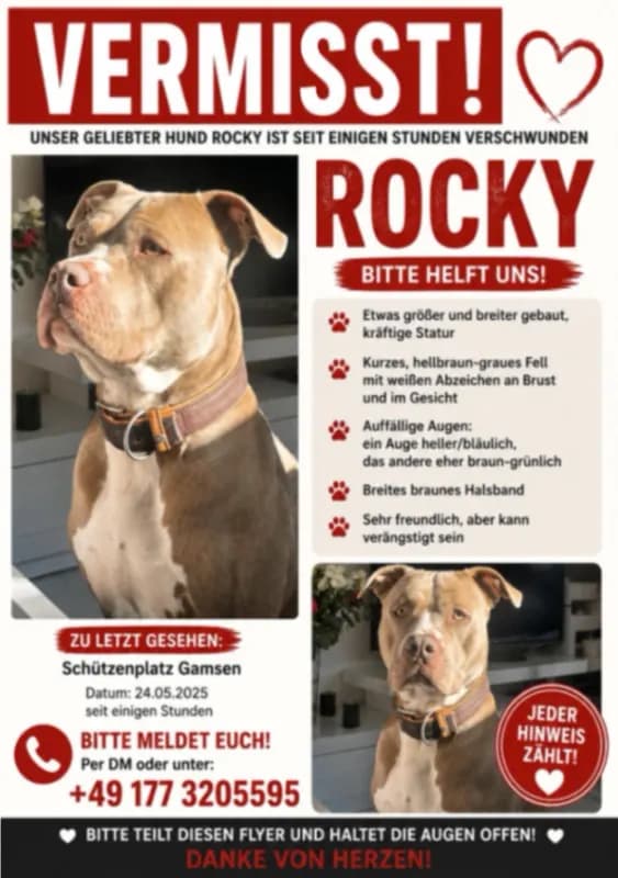 Rocky
