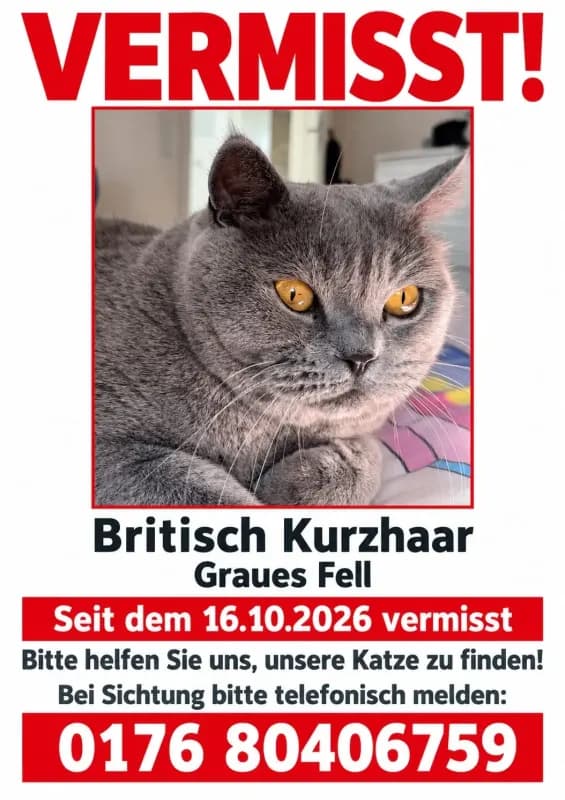 Busja