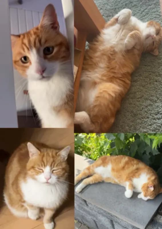 Max