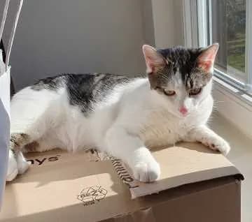 Leo
