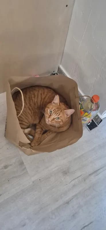Lenny