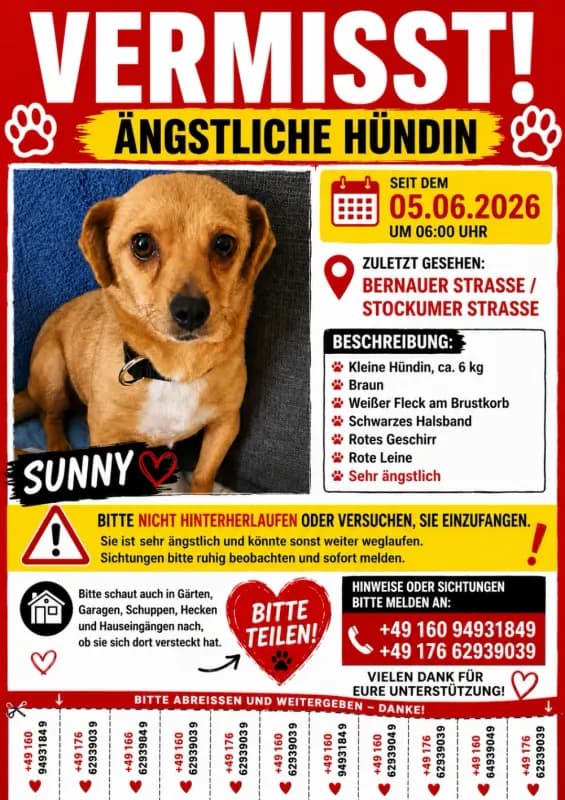 Sunny