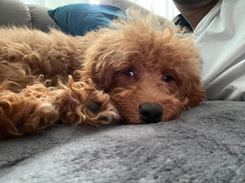 Charlie