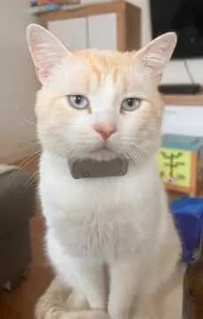 Carlos