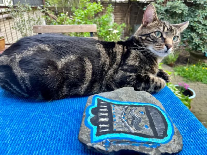 Kater Mottek